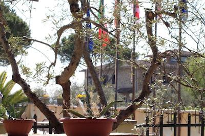 لا لژیا ویلا گلوریا