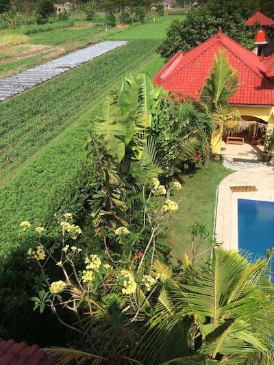 ادا واکتو ویلا