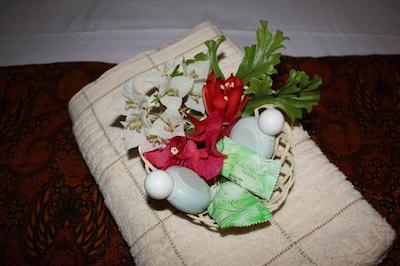 ادا واکتو ویلا