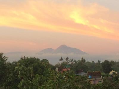 ادا واکتو ویلا