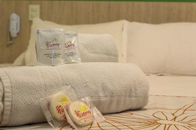 پوسادا سان ویکتوری