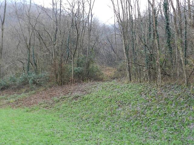 ویلا برتاگنی