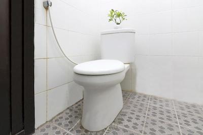 او وای او 1241 پنگیناپان آر بی سیاراح