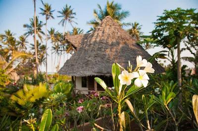 سوی بوتیک هتل