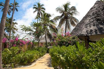 سوی بوتیک هتل