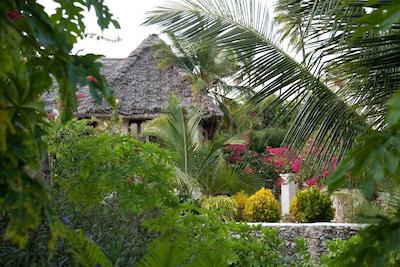 سوی بوتیک هتل