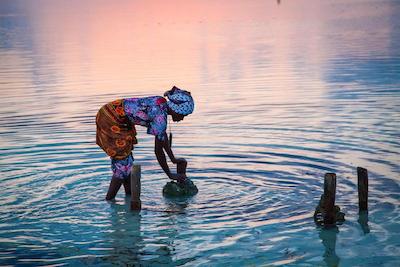 سوی بوتیک هتل