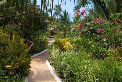 سوی بوتیک هتل