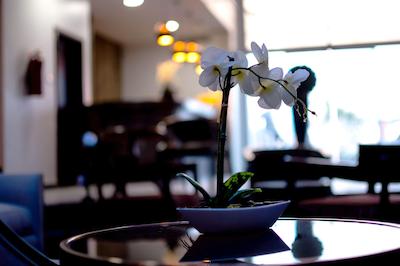 سوئیس اینترنشنال د ویستانا