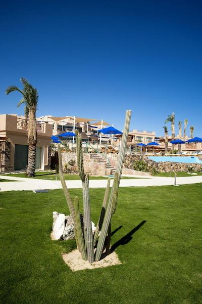 شمز پرستیژ ابو سوما