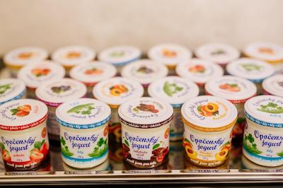 ام وای او هتل ونکسلای