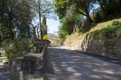 ریلیز فاریناتی