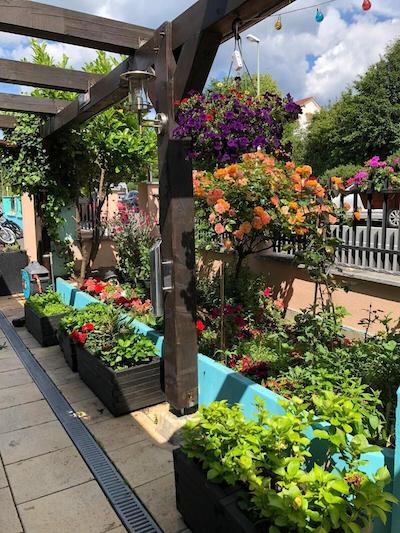 گلاشا تی تن هتل