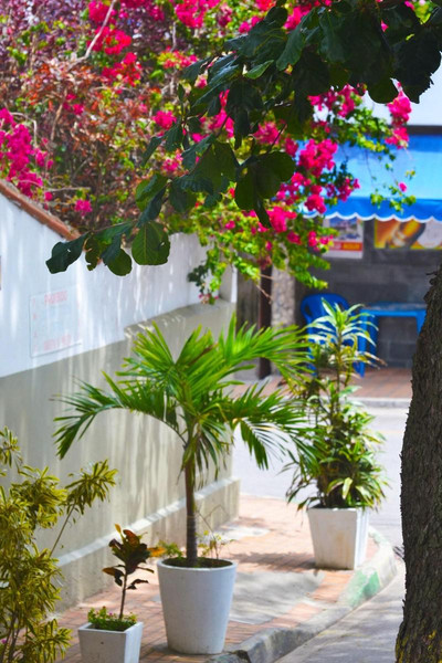 The Queen Hostel