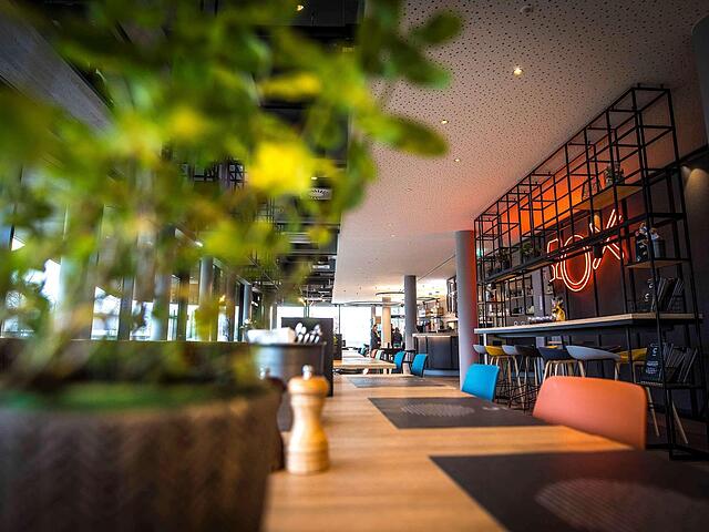 Ibis Wels