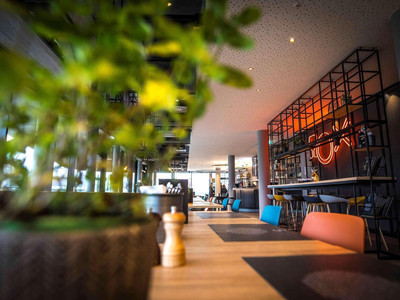 Ibis Wels
