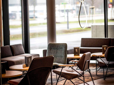Ibis Wels
