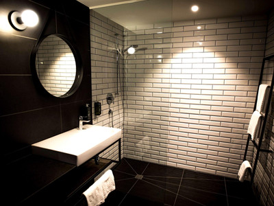 Ibis Wels