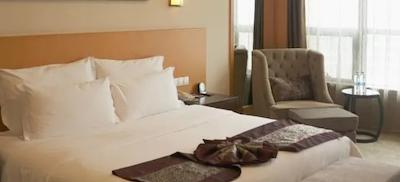 DYNASTY INTERNATIONAL HOTEL CHONGQING HECHUAN