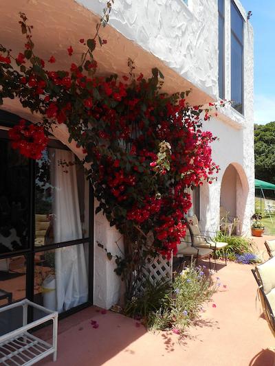 La Casa Te Puru Lodge