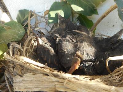 La Casa Te Puru Lodge