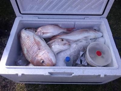 La Casa Te Puru Lodge