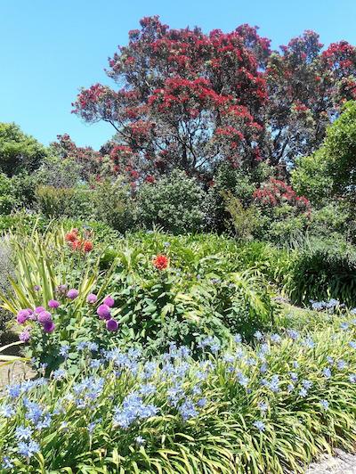 La Casa Te Puru Lodge