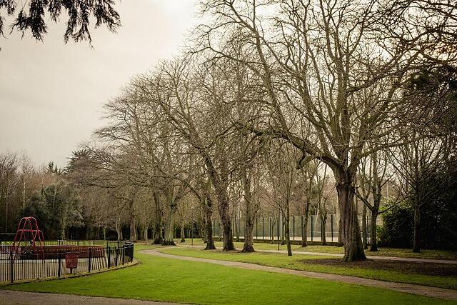 Dcu Rooms Glasnevin