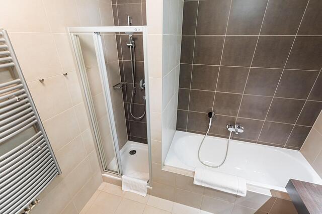 Albertov Rental Apartments