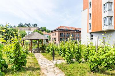 Albertov Rental Apartments