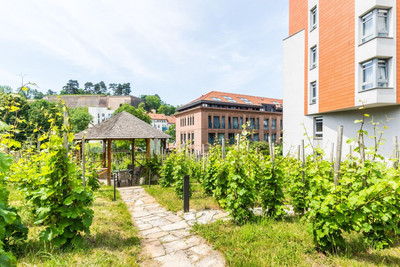 Albertov Rental Apartments