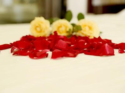 Greentree Inn Chengdu Airport Road Zhujiang Road E