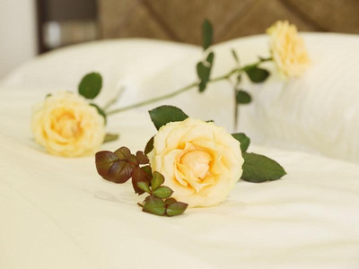 Greentree Inn Chengdu Airport Road Zhujiang Road E