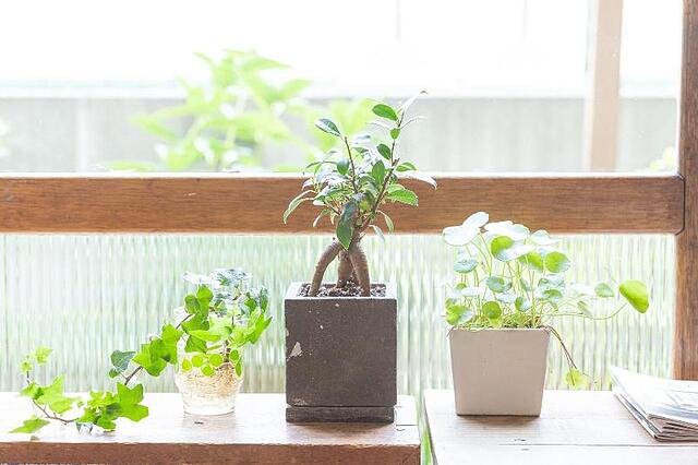 TOKYO HIKARI GUEST HOUSE
