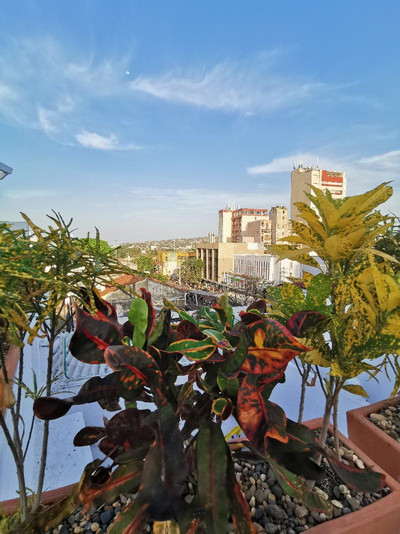 LUKA CARTAGENA HOSTEL