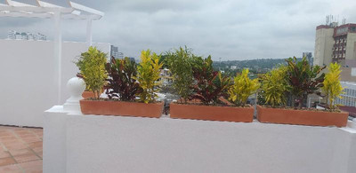 LUKA CARTAGENA HOSTEL