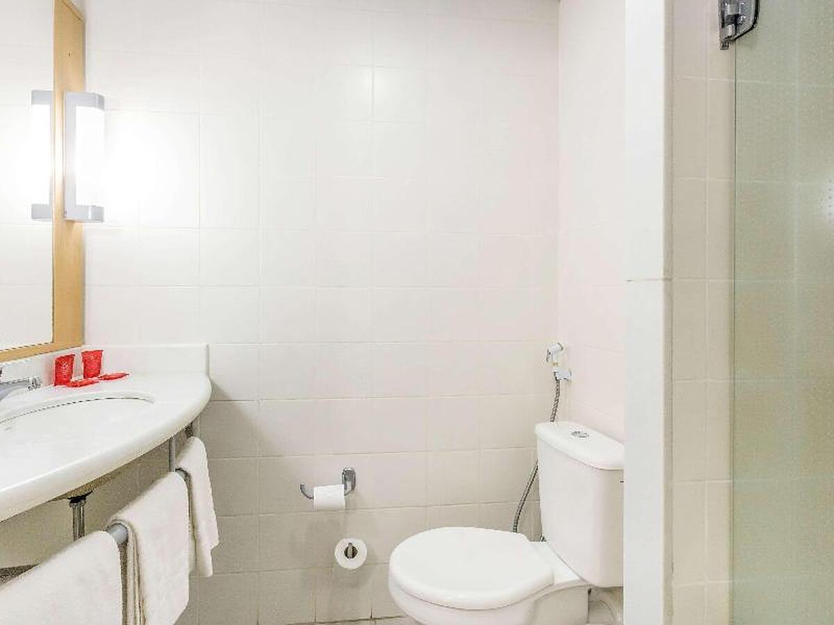 Ibis Barretos
