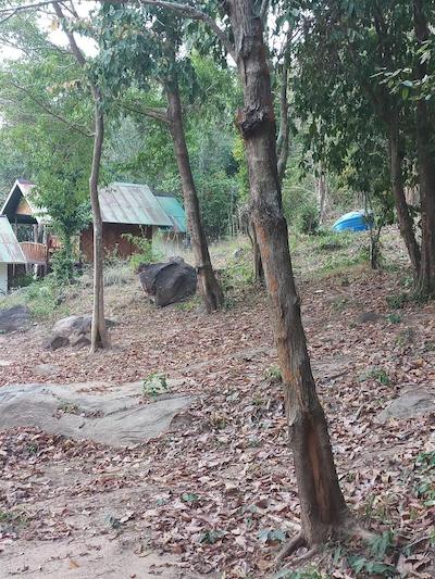 Phi Phi Jungle Hill Bungalow