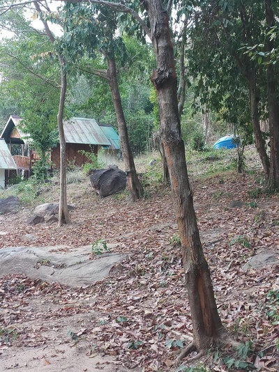 Phi Phi Jungle Hill Bungalow