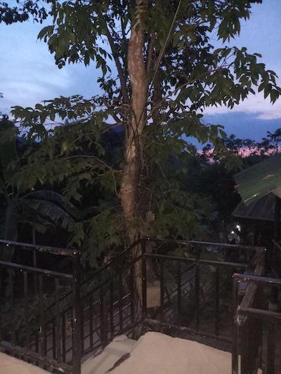 Phi Phi Jungle Hill Bungalow