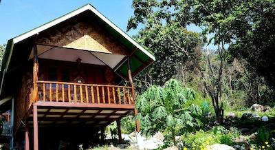 Phi Phi Jungle Hill Bungalow