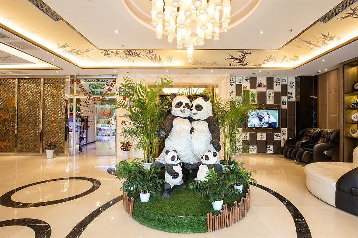 Panda Prince Hotel-South Chengdu Railway Station