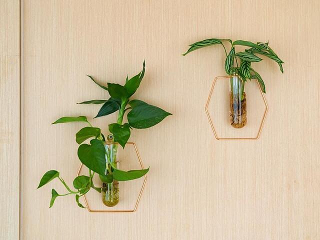 GREENTREE INN JIANGSU WUXI NANCHANG WALKING STREET