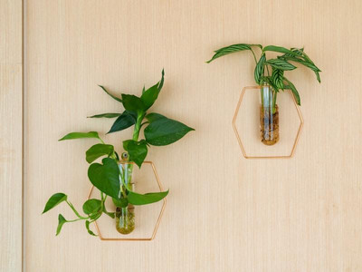 GREENTREE INN JIANGSU WUXI NANCHANG WALKING STREET