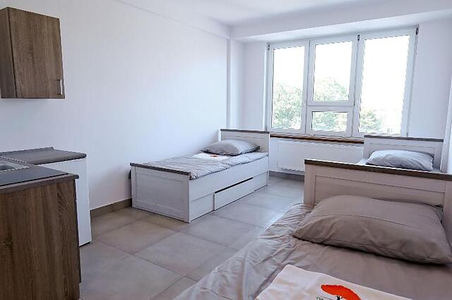 Hostel Orange Tree