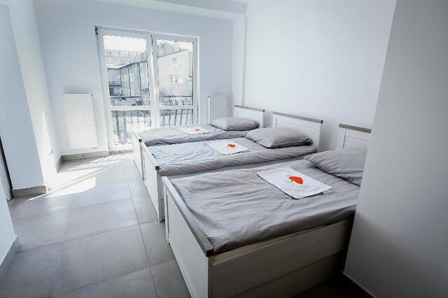 Hostel Orange Tree