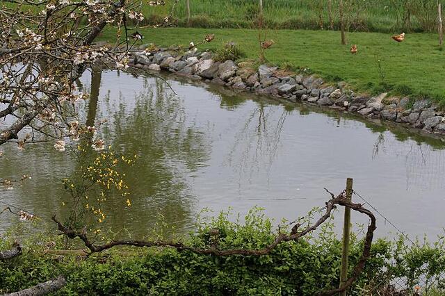 La Bonnauderie