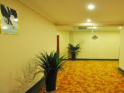 GREENTREE INN LINXI INTERNATIONAL CONVENTION CENTE