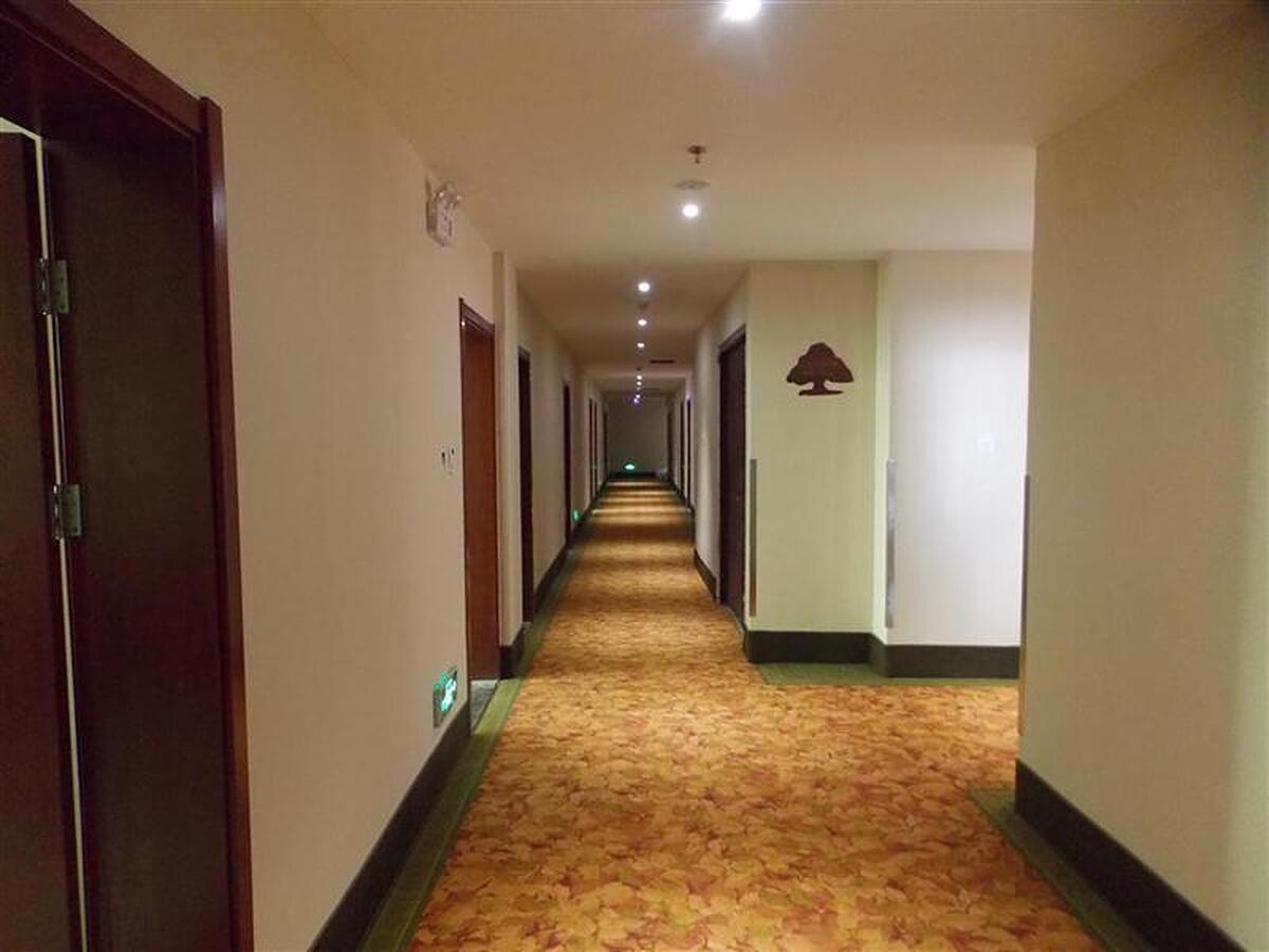 Greentree INN Linyi Lvnan Tianqiao
