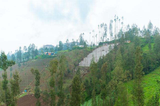 Oyo 2169 Anugrah Bromo Homestay